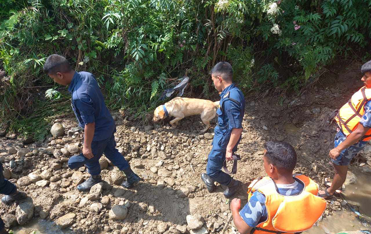 काभ्रेमा बाढीले बगाएकी रेणुकालाई खोज्न कुकुर परिचालन, चौथो दिन पनि बेपत्ता